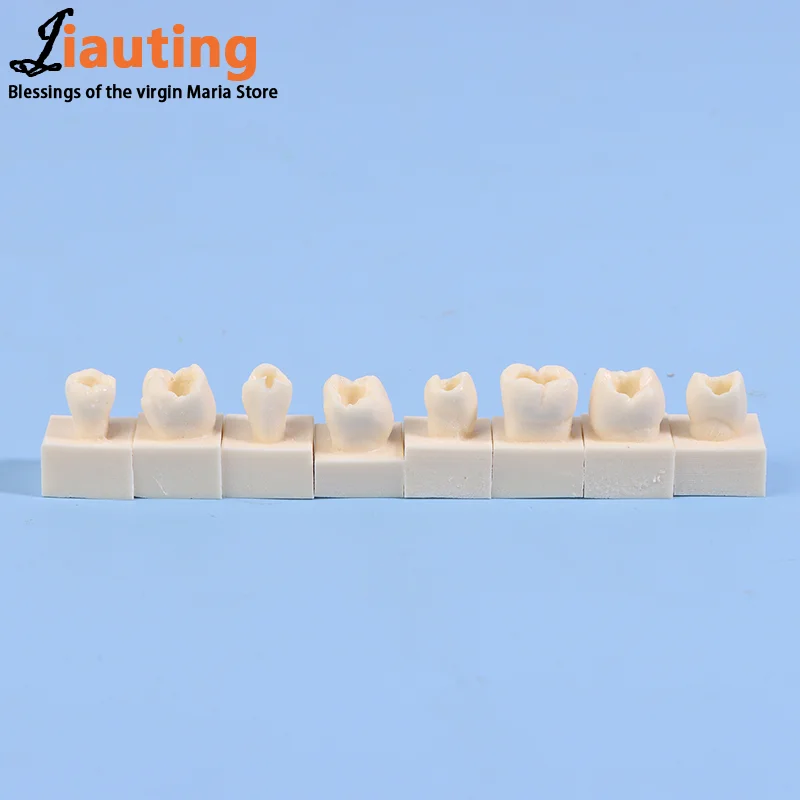 8 шт./компл. стоматологическая задняя студенческая тренировочная тестовая модель