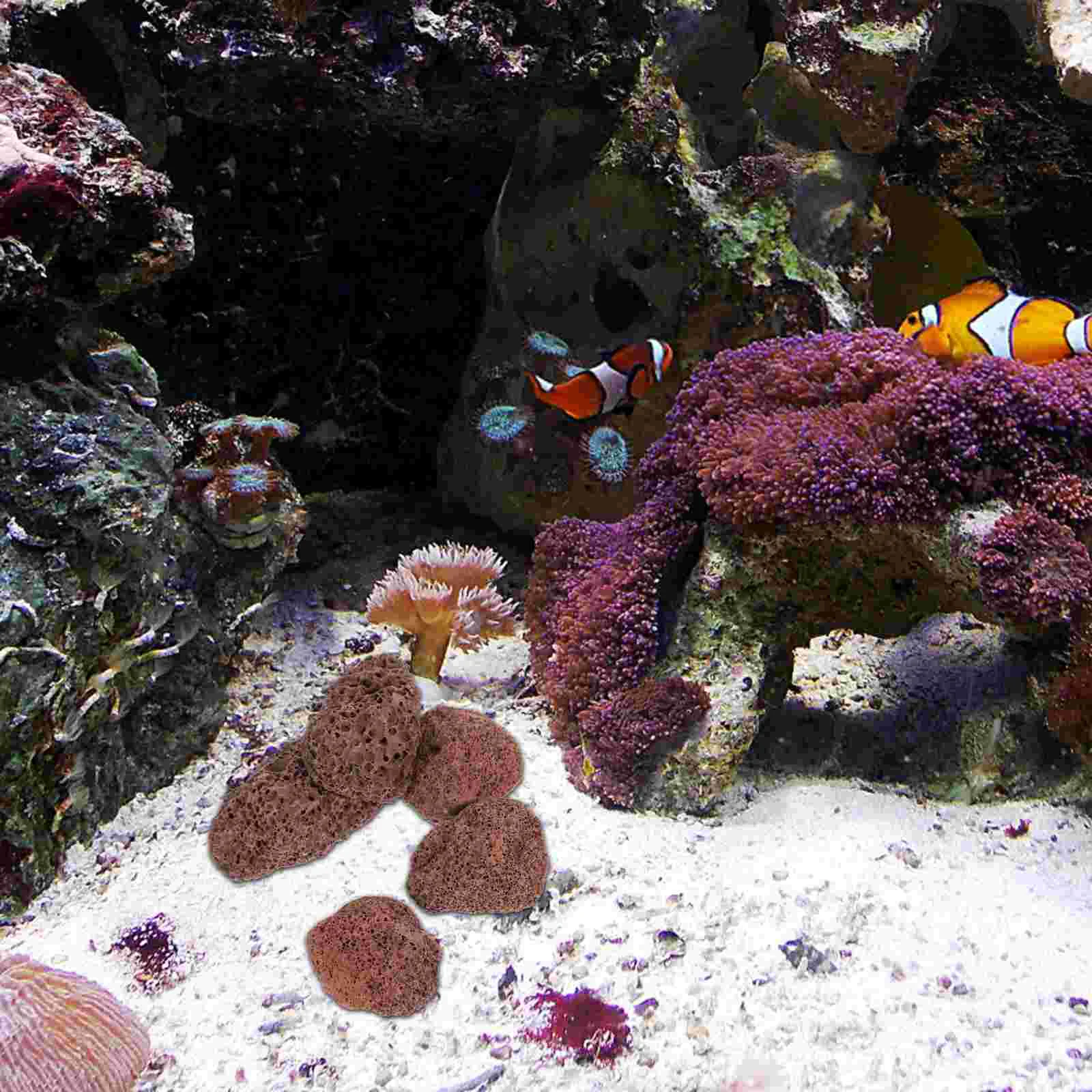 Дракон Камень Аквариумные Скалы Аквариум Аквариумы Вулканическая Лава Фильтр