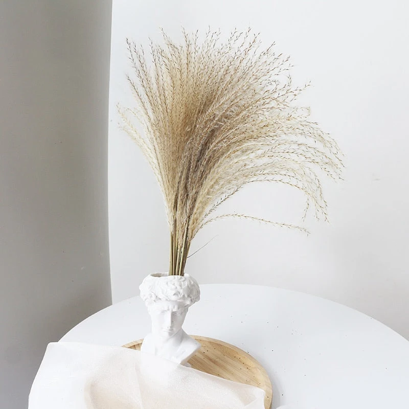 

30pcs Set Real Pampas Grass Reed Bouquet Wedding Decor Natural Dried Flowers Home Decoration Branches Party Wholesale Bulrush