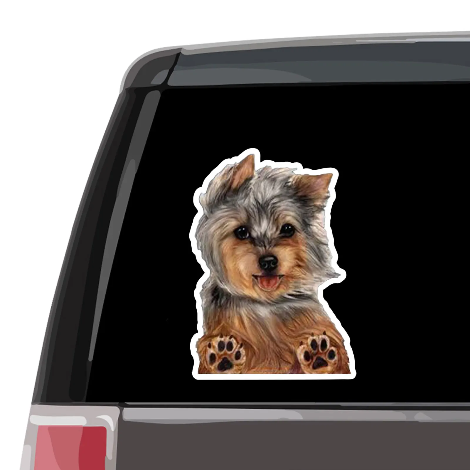 

Наклейки для ноутбука, автомобиля, скейтборда, подростков