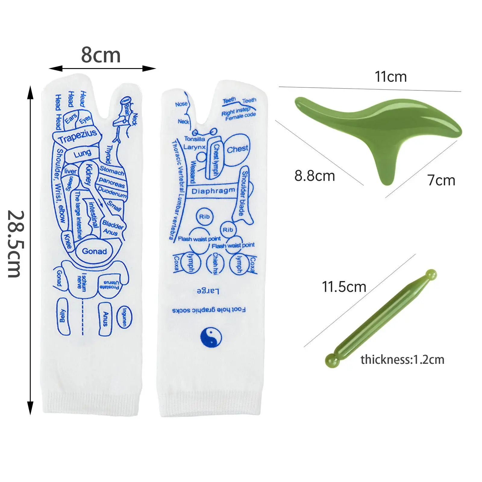 Рефлексотерапевтическая область отражения носков с точечной ручкой и