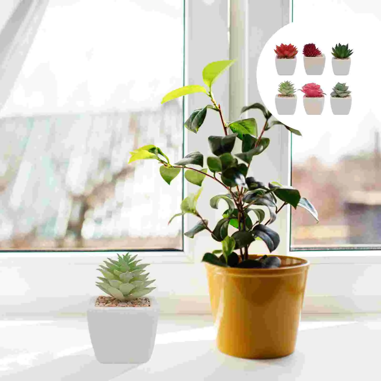 

6 PCS Artificial Plants Simulation Plants Artificial Succulent Decorative Plants Succulants Miniature Potted Plants Bonsai