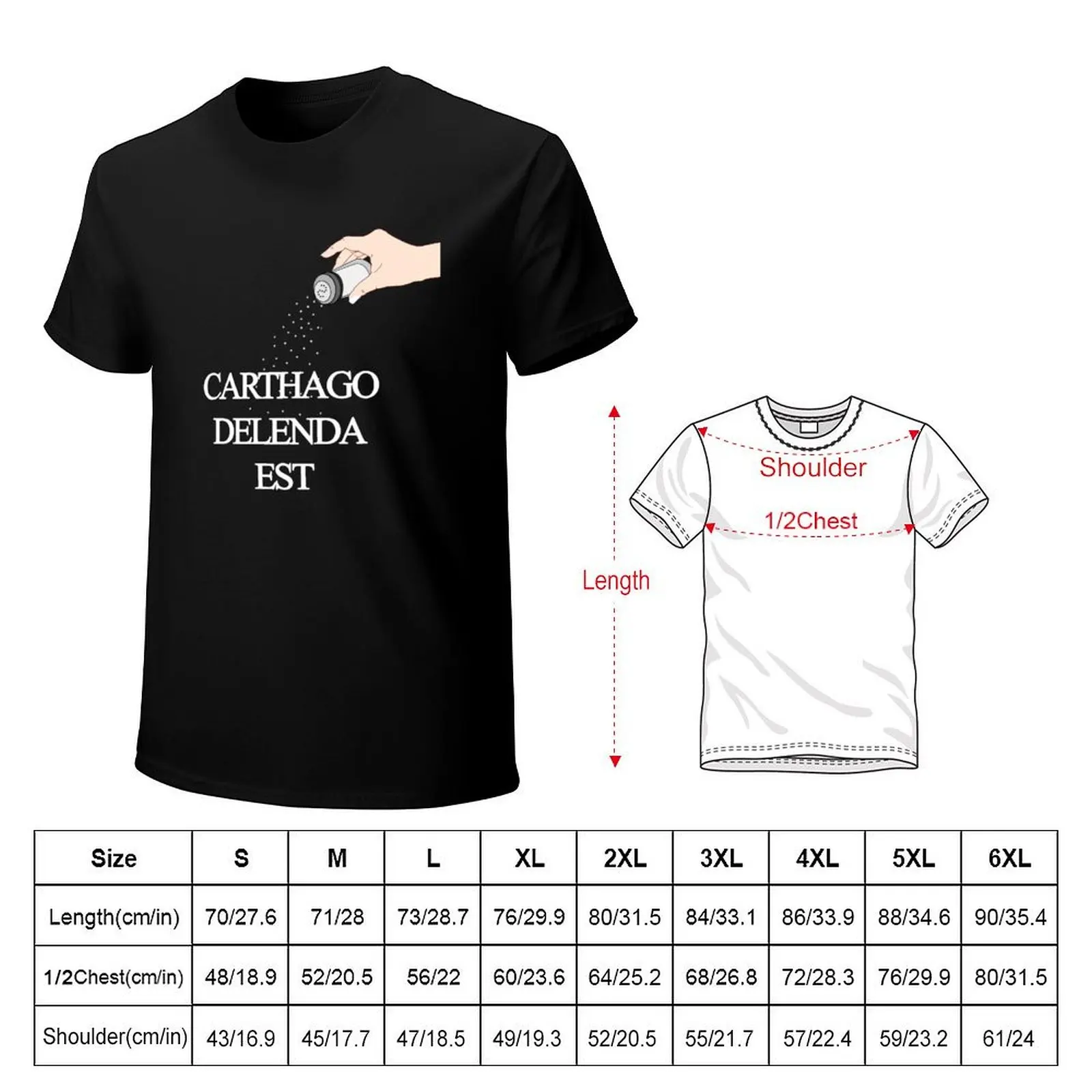 Фото Футболка Carthago Delenda Est, анти-пиллинг, повседневная футболка №2