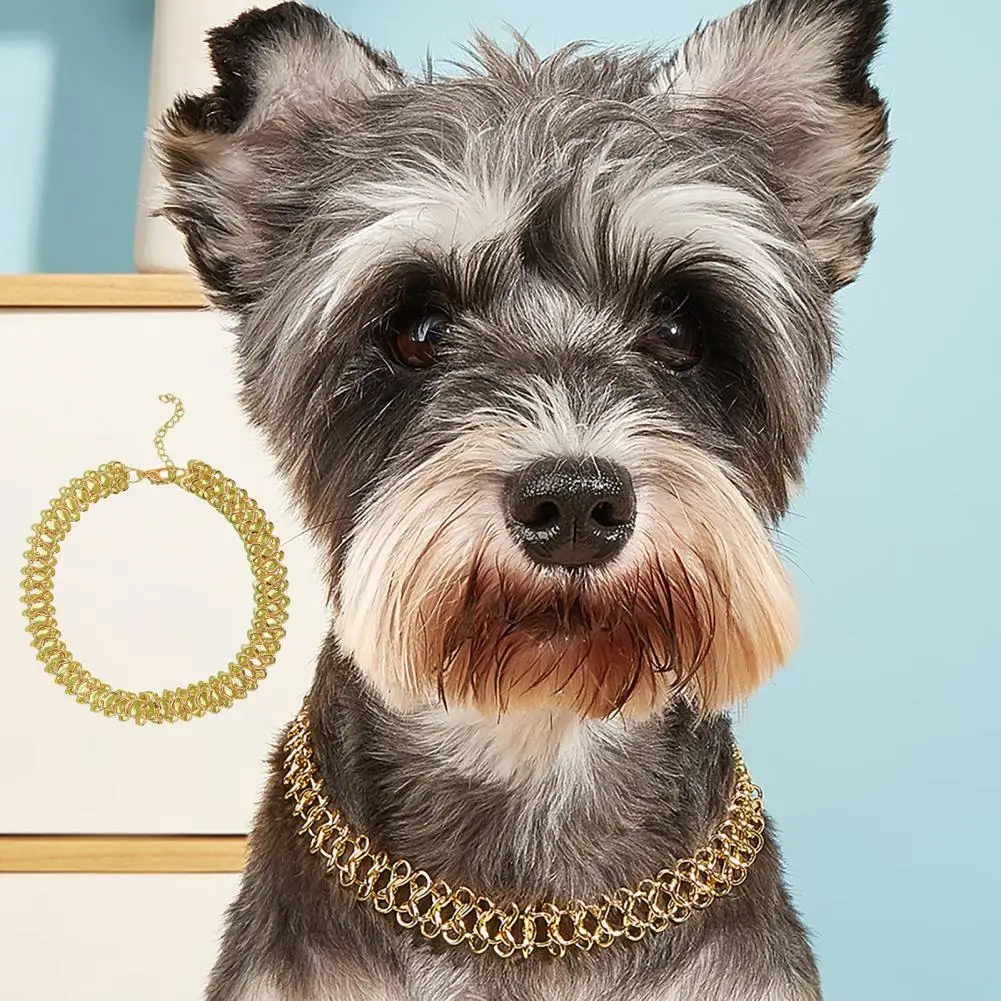 

Износостойкое ожерелье для шеи домашних животных, ожерелье для кошек, милый ошейник шнауцера, померанский ошейник, ожерелье для кошек