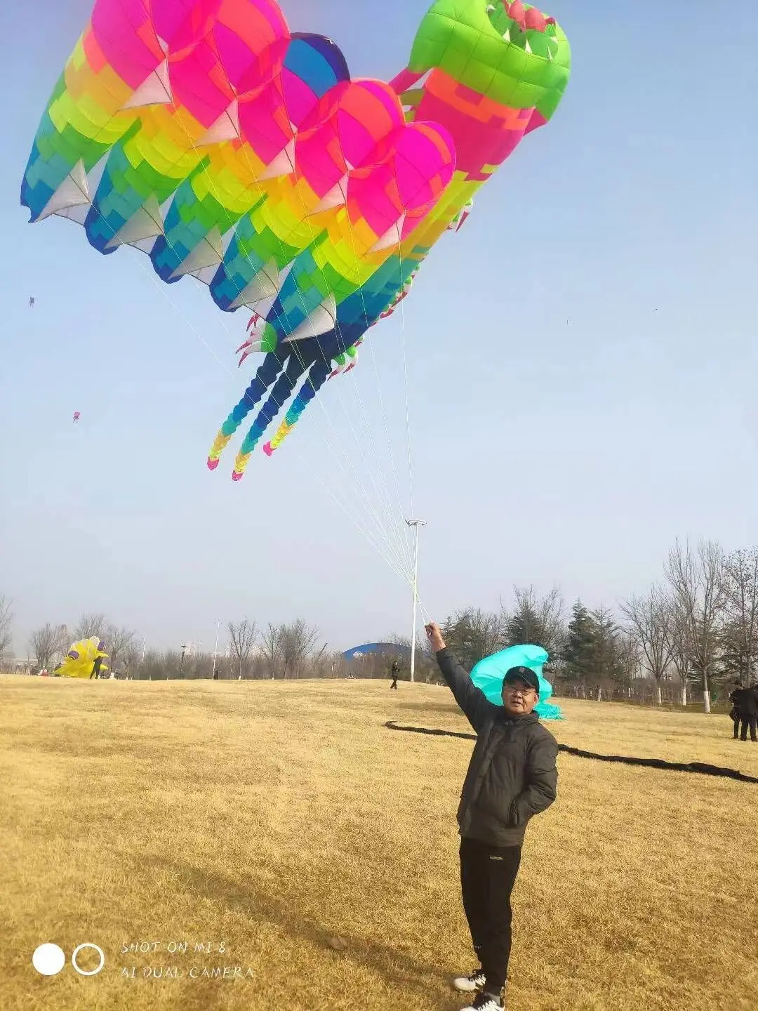HFLY Новое поступление мозаичный пилот 16 22 кв. м тягач воздушный змей мягкий надувной (art.: 3920bf3ecf774) - 3920bf3ecf774