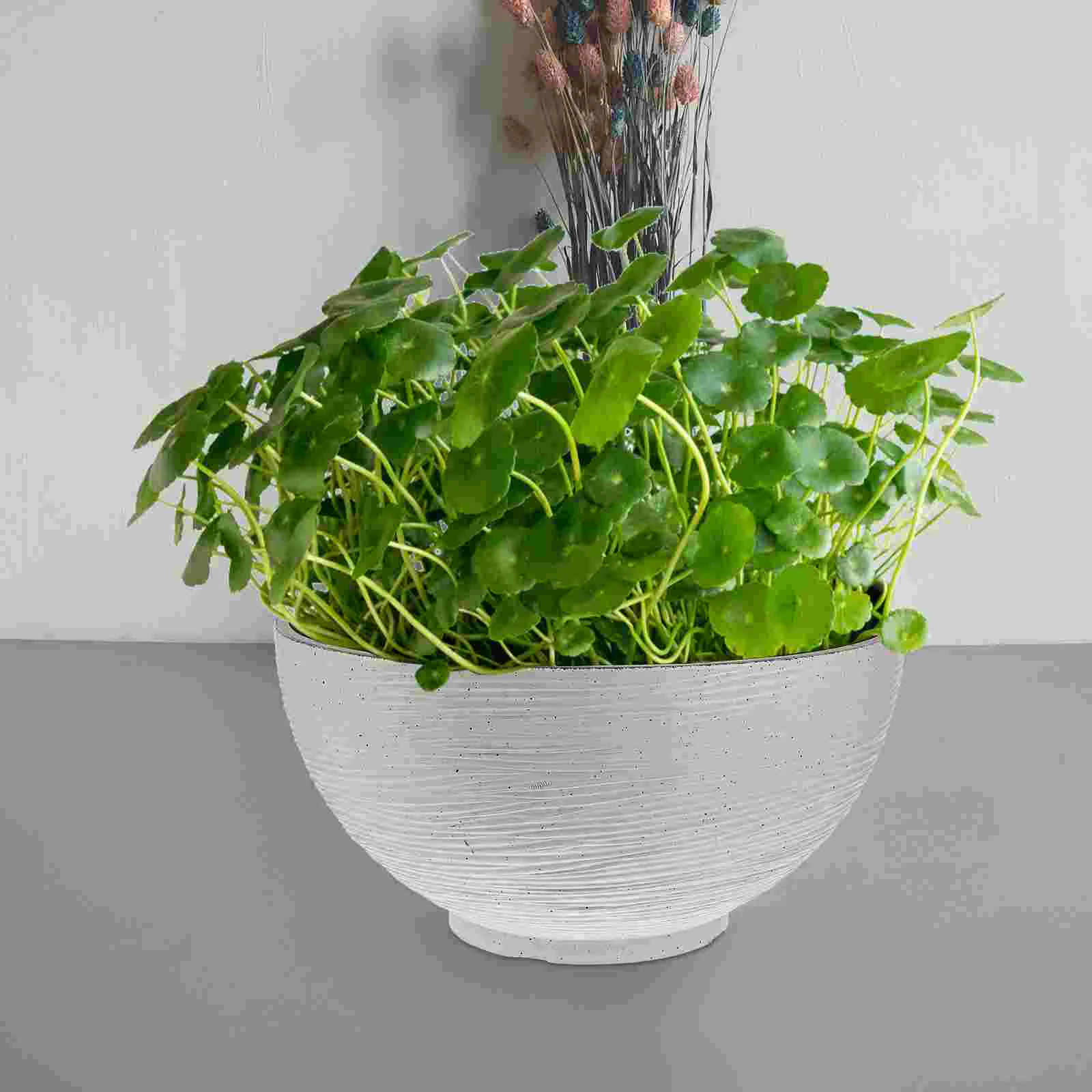 Имитация камня горшок с лилией нарцисс гидропонное растение декоративный