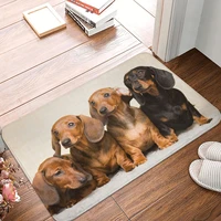 dachshund dog doormat bathroom modern polyeste mat kitchen home living room funny pupy decor floor rug floor mat bath mat