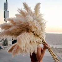 large pampas grass 48dried flowers large fluffy natural dried pampas home boho decor country wedding pompas floral decoration