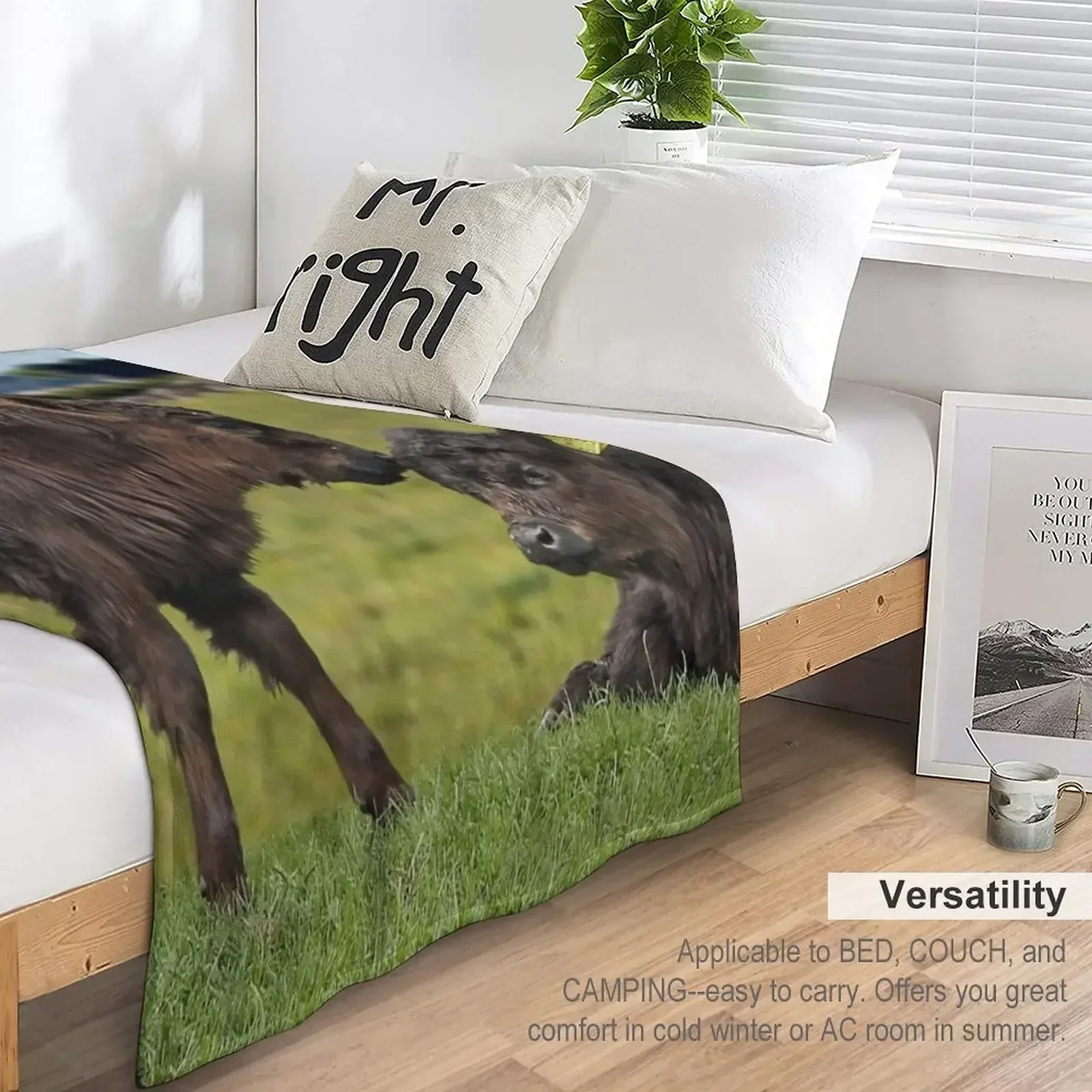 Одеяло Galloway с поясом туристические роскошные пледы и идеи подарков на День