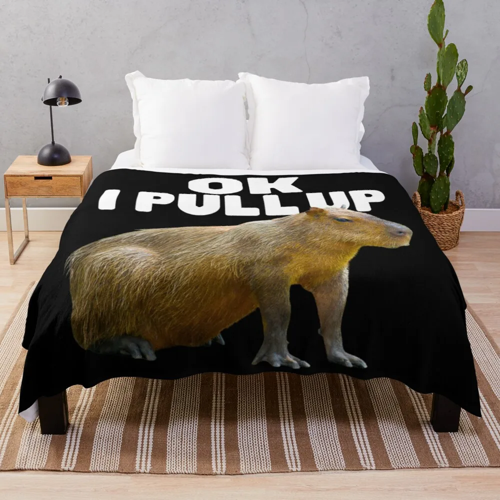 

Ok, я поднимаю тонкое одеяло для дивана