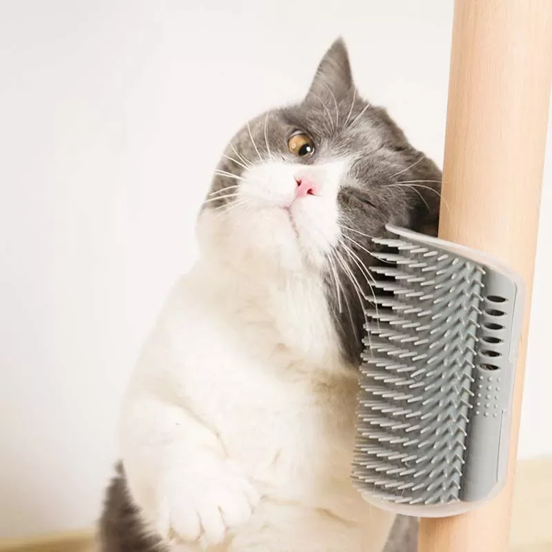 

2022NEW Pet Cats Brush Corner Cat Massage Self Groomer Comb Brush With Catnip Cat Comb Products