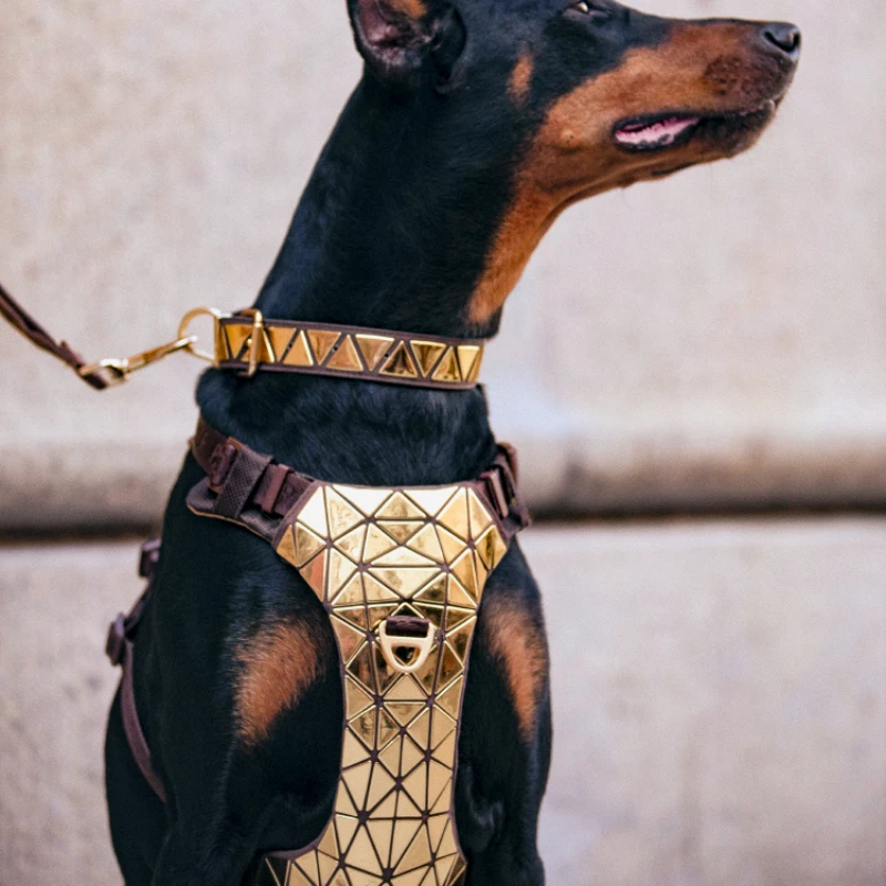 Do Harnesses Hurt Dogs