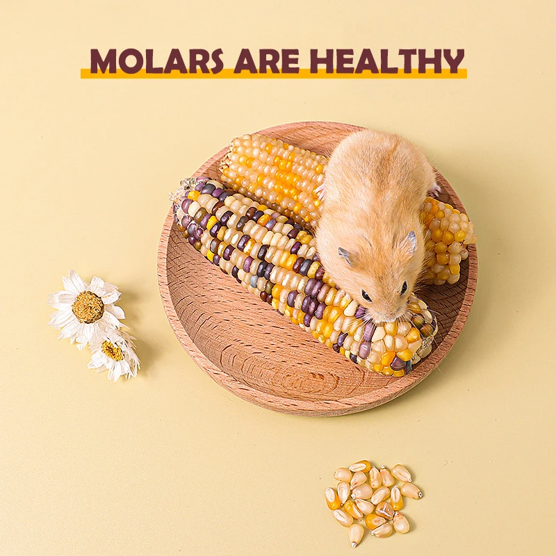 

3 шт., корм для хомяка, мини-кукуруза, Cob, морская свинка, Мой сосед Тоторо, ежик, кролик, Золотой медведь, моляр, снэки, еда