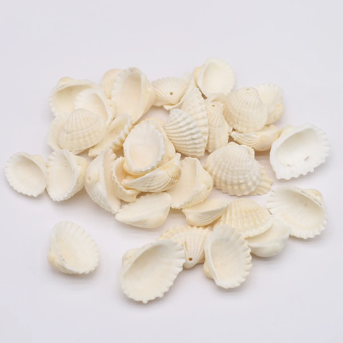 

100 Gram Small Sea Shell Beads Natural Scalloped Ocean Shells Shellfish Conch Loose Beads for Jewelry Making DIY Accessories