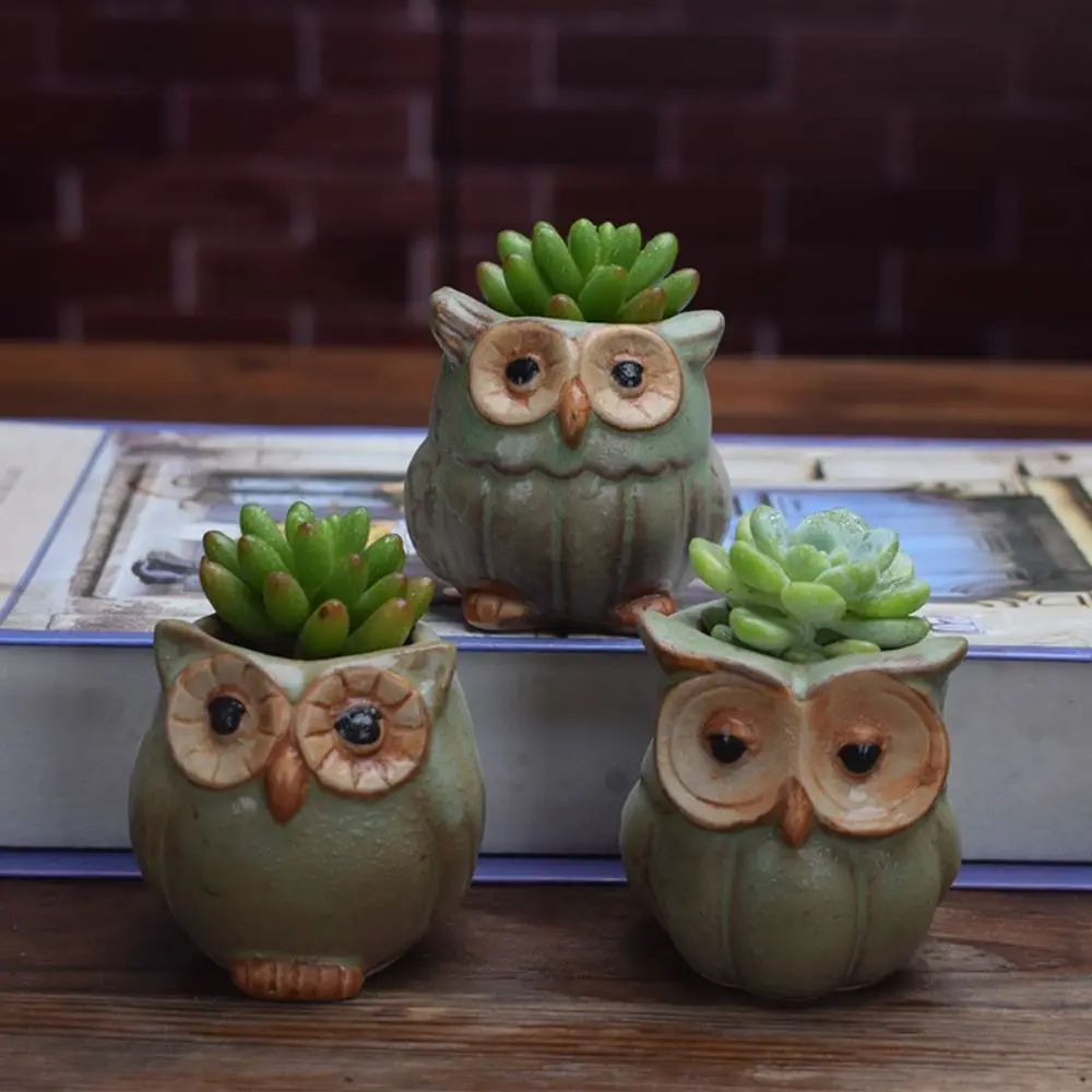 Керамический горшок для суккулентов с совой