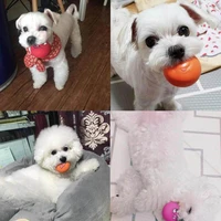 rubber dog puppy pet play squeaky ball chewing toys with face fetch bright balls g10