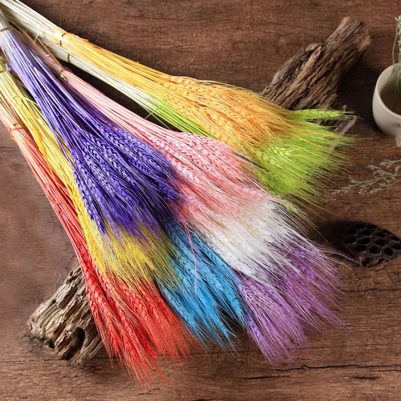 

50Pcs Wheat Ear Barley Dried Flower Barley Pastoral Wedding Decoration Shooting Props Immortal Flower Accessories Wholesale