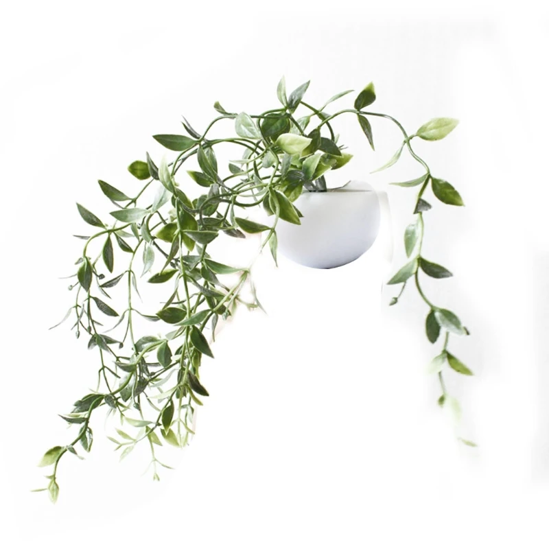 

Магнитные наклейки бонсай