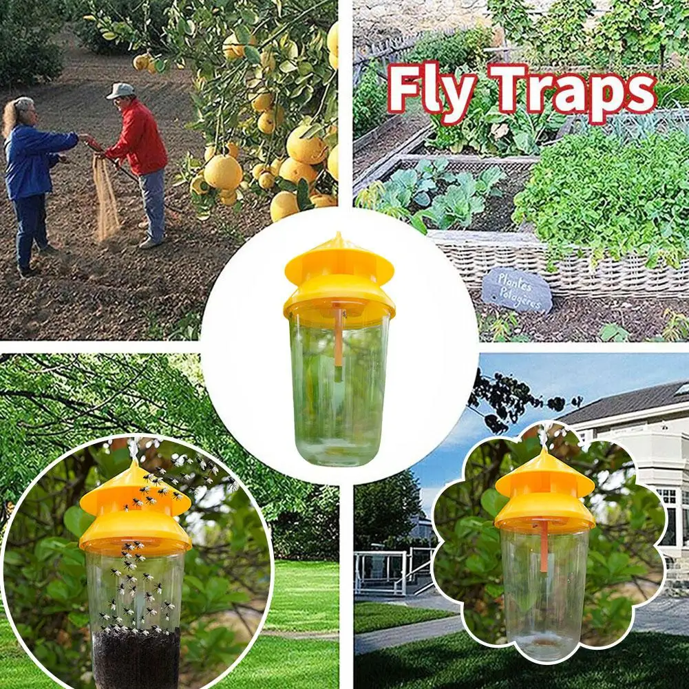 Ловушка для фруктов сада овощей сладкой дыни апельсинов маленькие фрукты мушка с