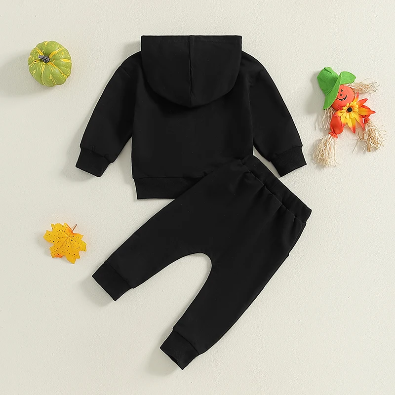 2 шт. толстовка с длинным рукавом и брюки на резинке