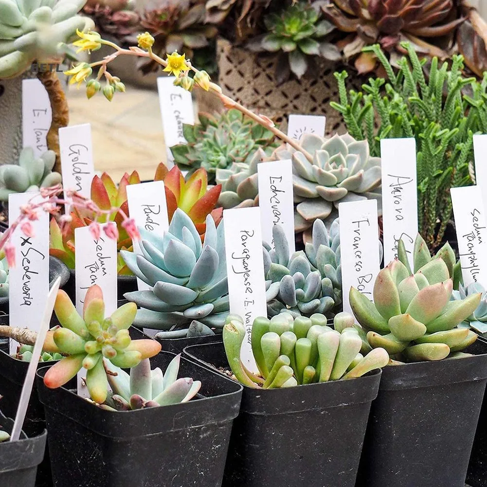 

100Pcs Garden Plant Labels Plastic Nursery Seedling Tray Tagging Markers Diy Garden Decoration Tools Flower Pots Landing Tags