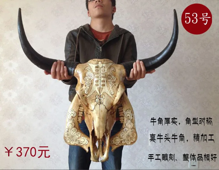 

head Arts Crafts Yak skull handicraft, genuine ox head ornament, cattle and sheep skull specimen, characteristic handicraft, ox