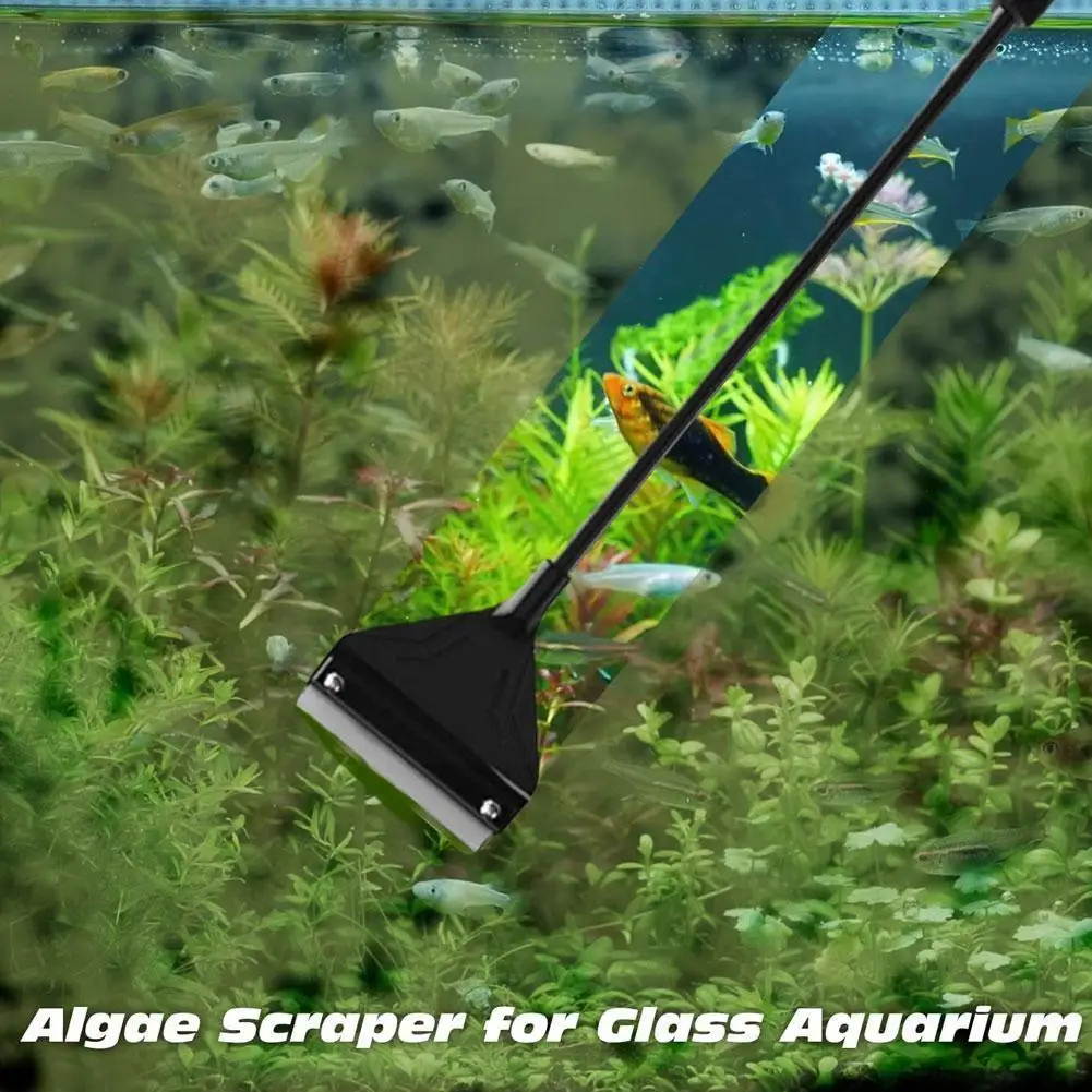 

Aquarium Fish Tank Algae Remover Long Handle Detachable Tank Razor Brush Tool Aquarium Cleaner Glass Cleaner J6P6