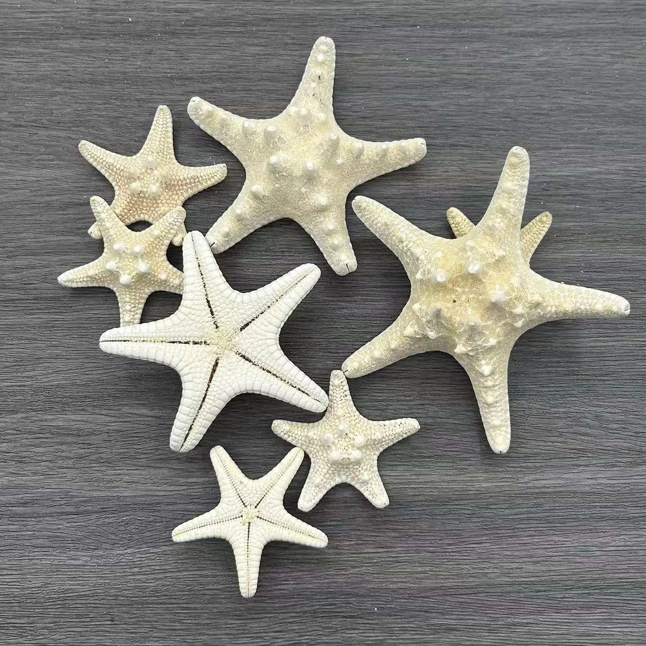 

Декоративная морская звезда из ракушки