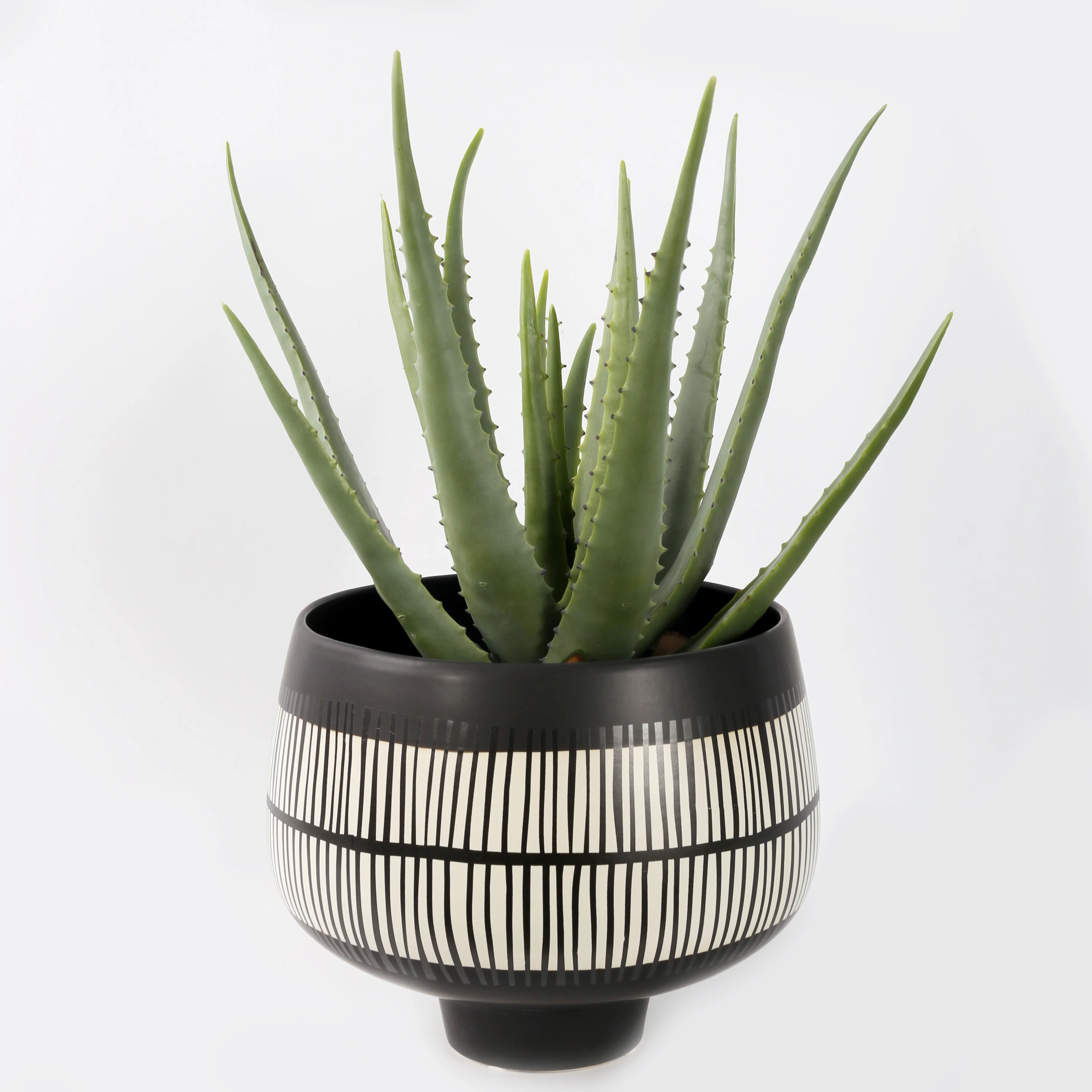 

Ceramic flower vase for modern home decor porcelain vase