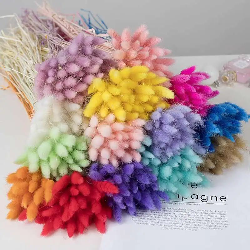 

60 pcs/lot Decorative Flowers Rabbit Tail Grass Vintage Macaron Color Bouquet Dried Flower Arrangements for Home Party Decor