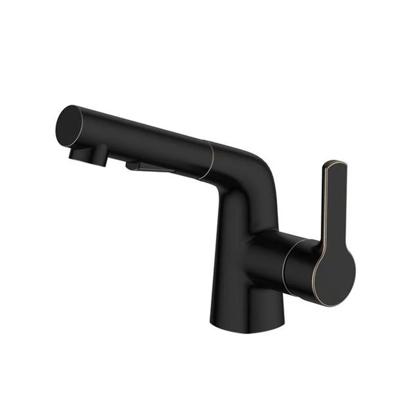 

Pull-Out ORB Matte Black Copper Coating Bathroom Basin Faucet Mixer Tap Single Handle Pull-Down Art Basin Faucet