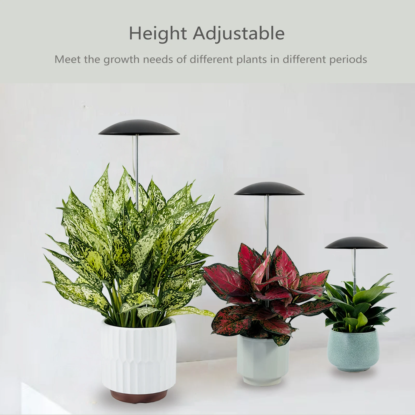 Рисунок 2 - Черные фонари для выращивания растений в помещении