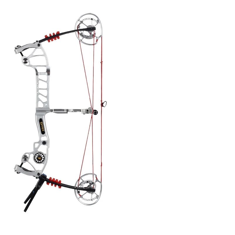 

Dual-Purpose Compound Bow 40-70lbs Archery Hunting Compound Bow Steel Ball Bow for Adult Outdoor Hunting Shooting