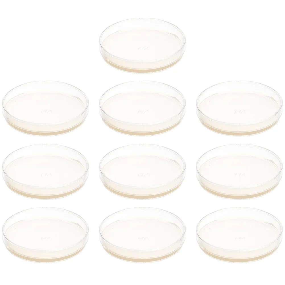 

Petri Dish Agar Plates Plate Dishes Laboratory Supplies Media Mushroom Plating Streak Dextrose Potato Blood Poured Pre Nutrient