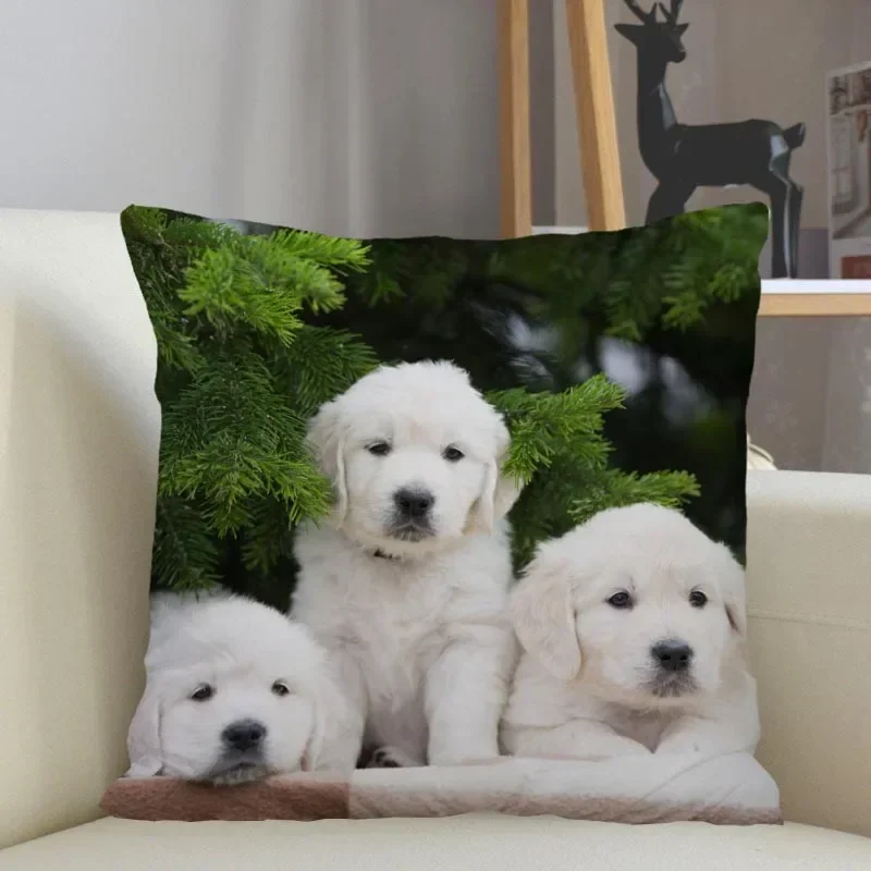

Декоративная наволочка Golden Retriever 45x45 см, полиэстер