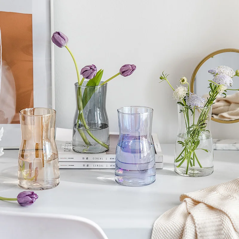 

Nordic Glass Vases Creative Gradient Vases Simple Decoration Dried Flowers Hydroponic Vase Modern Decor Vases Glass Containers