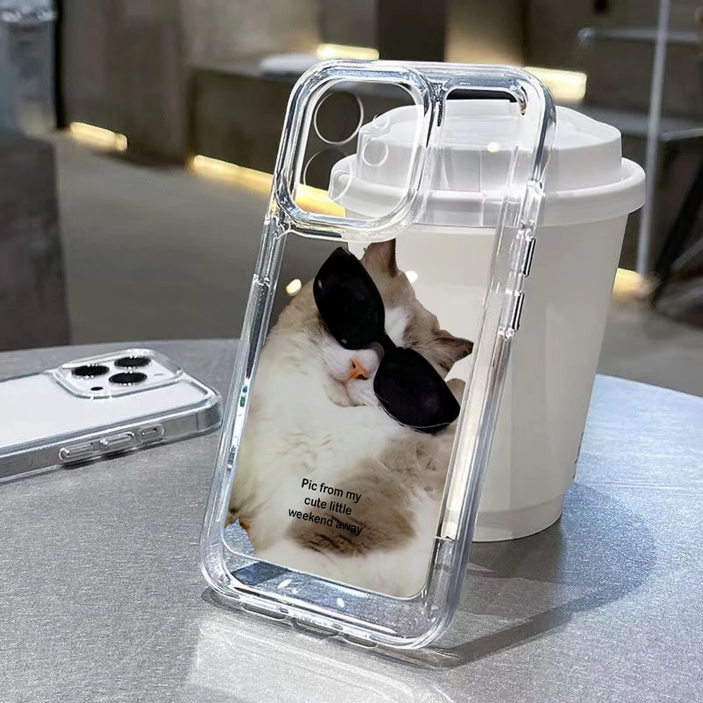 Cute Cats Clear Phone Case For Iphone 14 Pro Max Case iPhone 11 XR X XS Max 12 13 Pro Max 14 8 Plus SE Cover Soft Silicone Capa 