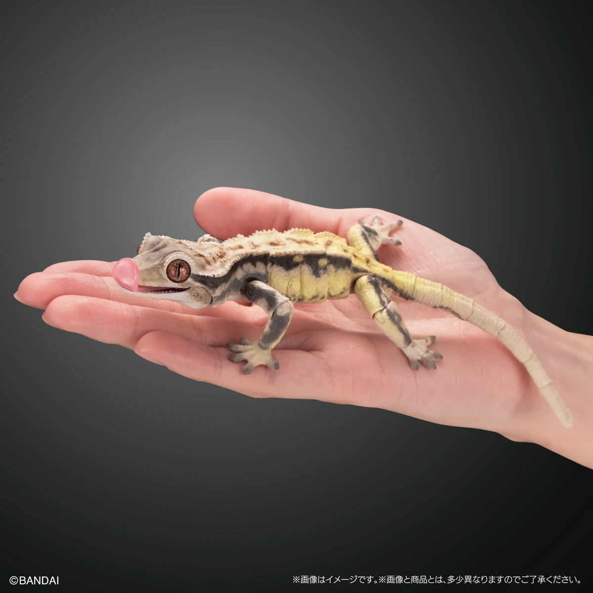 Bandai Gashapon биографическая энциклопедия фигурки Gecko 02 Имитация животных подвижные