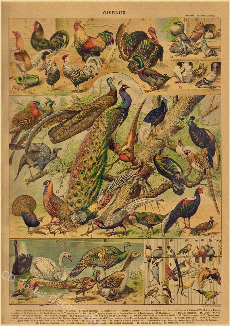 Ботанический постер из крафт-бумаги