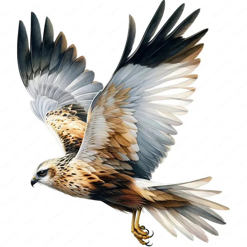 

Съемная наклейка на стену Marsh Harrier ПВХ