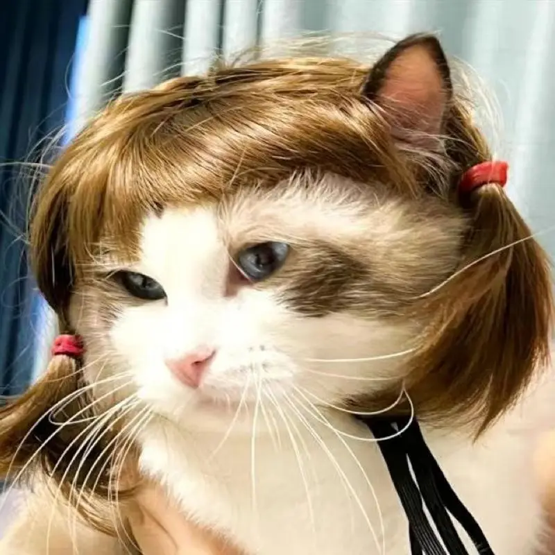

Pet Dog Wig Hair Accessories Afro Qi Banghai Small Braid Cat Fadou Tiktok Small Red Book Same Style