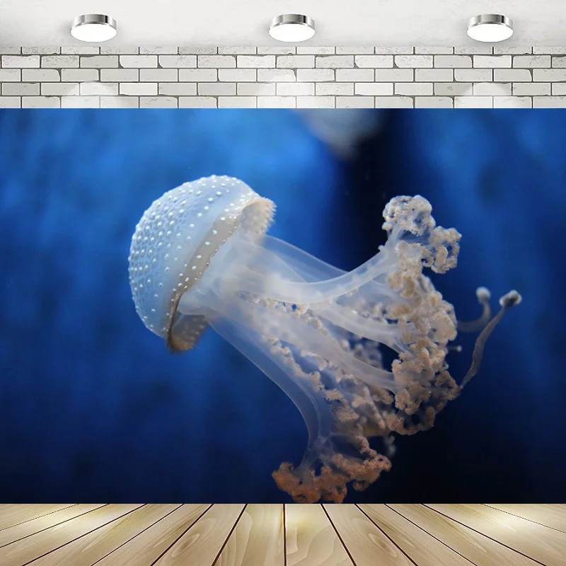 

Фон для фотосъемки с морским дельфином, акулой, морской жизнью, вечеринкой в честь Дня Рождения