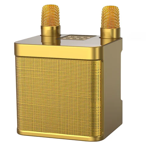 Двойной микрофон, караоке-машина для взрослых и детей, портативная Bluetooth-Колонка PA с 2 беспроводными микрофонами для дома