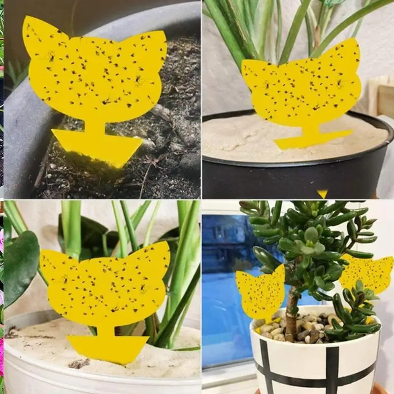 12 шт. прочные Желтые Липкие Ловушки для фруктов мух насекомых клейкие насекомые