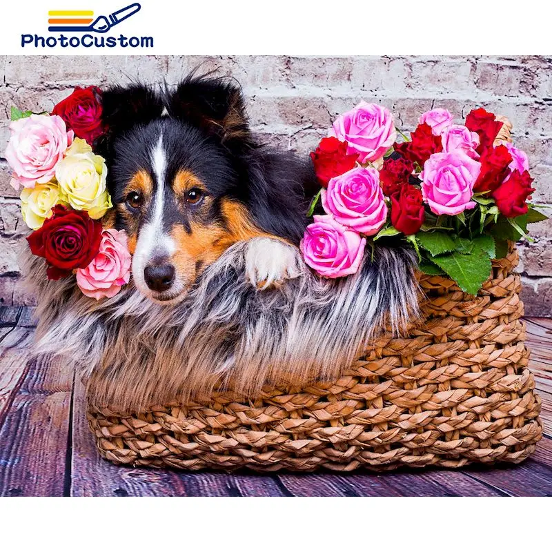 

PhotoCustom DIY Pictures By Number Dog Kits Hand Painted Picture Art Painting By Numbers Animals Drawing On Canvas Home Decor