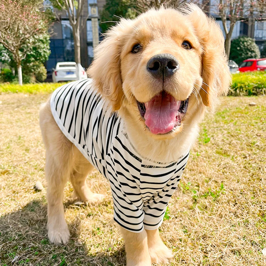

Summer Dog Clothes Stripes Cute Soft 10-50kg Big Large Dog Hoodies Pet T-shirt Jacket Dog Supplies Golden Retriever Samoyed 8XL