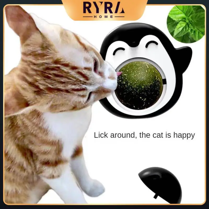 

Toys For Cats Pet Cat Mint Creative Cat Toy Bite Resistant Grinding Teeth Mint Ball Pet Supplies 2023 Interactive Cat Toy