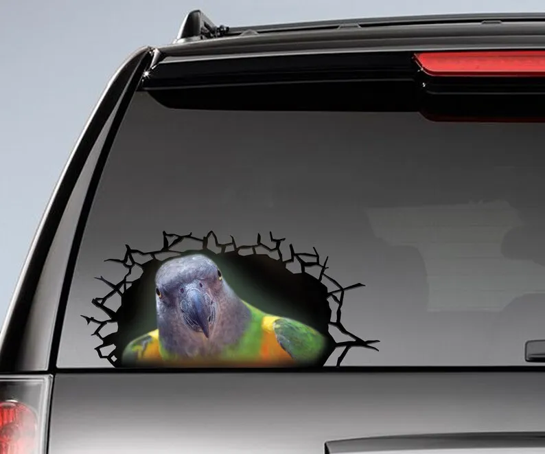 Наклейка на окно Сенегал попугай 3D наклейка