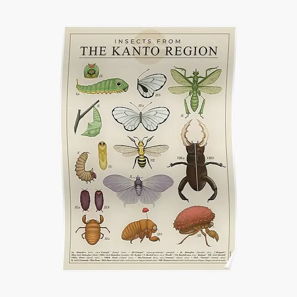 

Постер с насекомыми из региона Канто, домашнее забавное художественное украшение, печать, винтажная живопись, Настенная картина для комнаты, Современная Стена без рамки