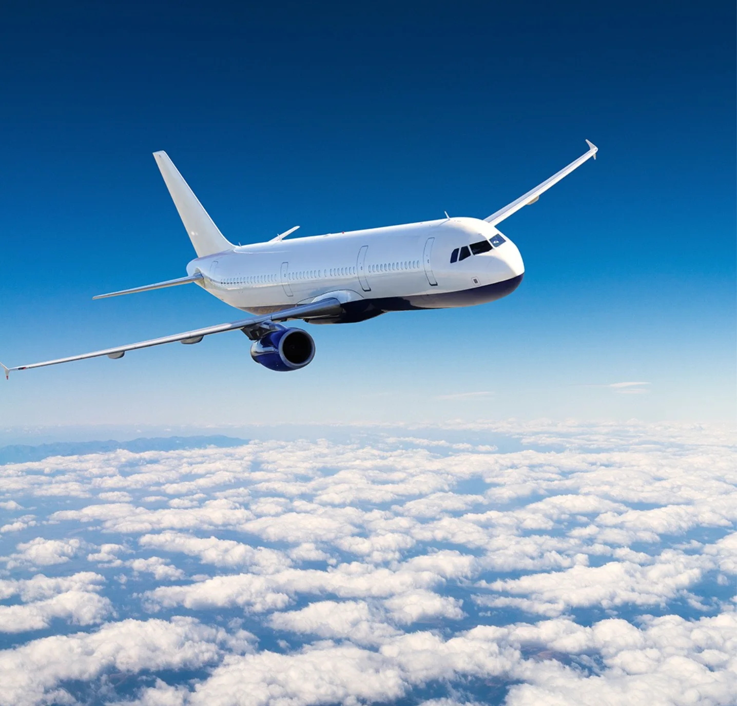 

Transportation cost
